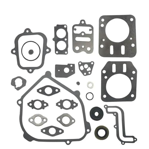 Joints moteur Briggs & Stratton 791797 et 699638 pièces de rechange