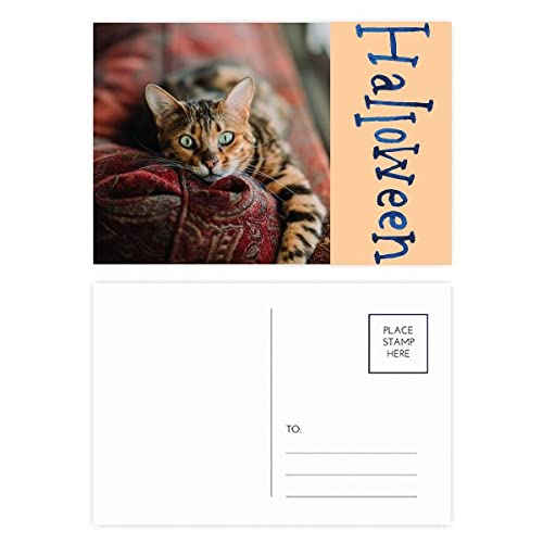 Cartes postales d'Halloween au chat vert idéales pour décorer vos soirées et invitations