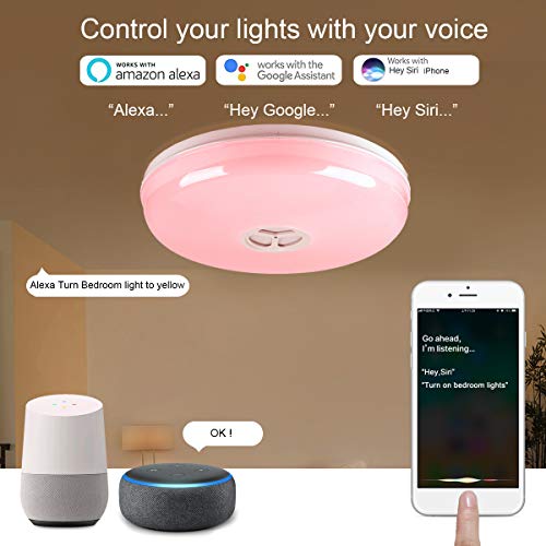 LED Smart Ceiling Light Fixtures 24W Wifi Flush Mount light with Bluetooth Speaker,Compatible with Alexa 
