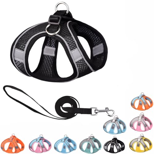 Black Puppy Dog Harness with Leash, No-Pull Cat Harness for Easy Walk, Breathable Mesh Reflective Tiny Dog Vest for XXS Xs Small Medium Breed Pet Dogs, XXS