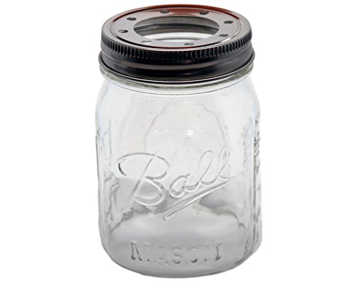 Open Bottom Mason Jar Glass Shade with 1-5/8-Inch Fitter Opening Lighting Lid (RM Pint Ball Jar, Clear)