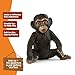 Schleich Wild Life - 2