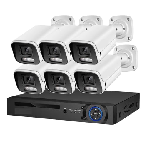 8MP 4K AI猟oZLeBJVXePOE NVRLbgCCTVrfI^扮OƒplԉĎJ(2T,8CH NVR 6 AI Camera)