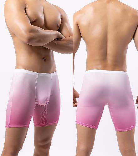 WINDAY Men's Briefs Gradient Color Ice Silk Sports-Inspired Underwear Boxer Briefs N23053