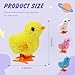 SAURAWAN 2-PCS Chicken Plush Wind Up Toys for Kids and Toddlers 1-3 2-4, Wind Up Easter for Easter Egg Fillers, Goody Bag Stuffer, Birthday Gifts - Soft Kawaii Baby Chick Toys