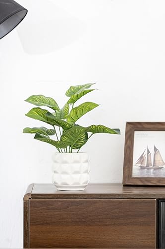 Arktiva Ceramic Planter Pot with Drainage Hole, 4.5 Inch Dia, Indoor and Outdoor, Home Patio Garden, Plants Flower Succulent, 3D Patterned Round (White)