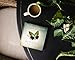 The Butterfly Effect: How Your Life Matters – The Perfect Inspirational Gift