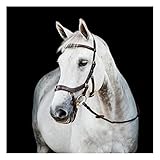 Horseware Ireland Micklem Multi USA, Color: Dark Havana, Size: Small Hors (SBMXM1-NAB0-SC)