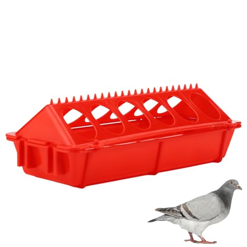 Alimentatore di Quaglia, Waterer per Quaglie, per l'alimentazione e idratazione del pollame, Alimentatore con 12 fori spessiti, per pollaio, multiuso per pollai