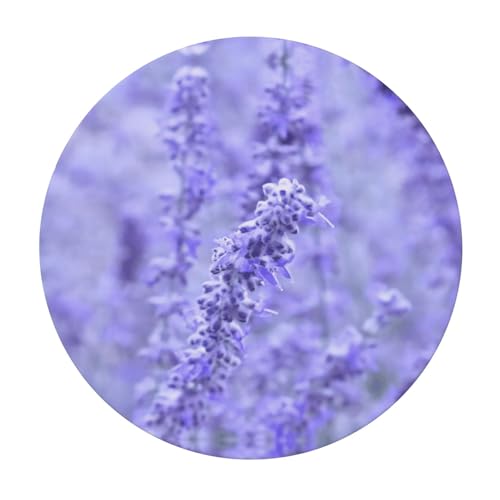 Nappe ronde résistante aux taches et lavable imprimé fleurs