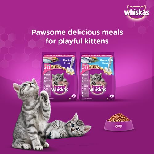 Whiskas Kitten (212 months) Dry Cat Food, Ocean Fish Flavour with Milk