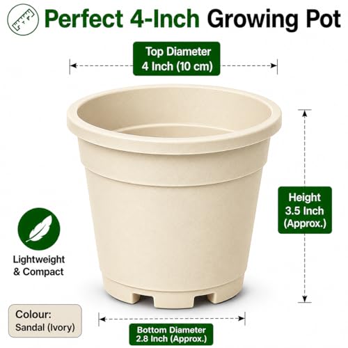 Image of Indian Gardens - 4 inch Indoor (Pack of 10) Plastic Small Colour pots | Plastic Plant Pot for Terrace Garden (Ivory)
