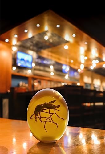 VEOJEIN Jurassic Mosquito in Bernsteinharz | echte 3D-Form | realistische Flache Unterseite geformt | Dinosaurier DNA Replik prähistorische Welt | Sammelrequisite | Rohrhalterung | Papiergewicht