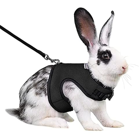 Worparsen Small Pet Harness Small Animal Rabbit Vest Clothes Washable Reusable Black XL Cover