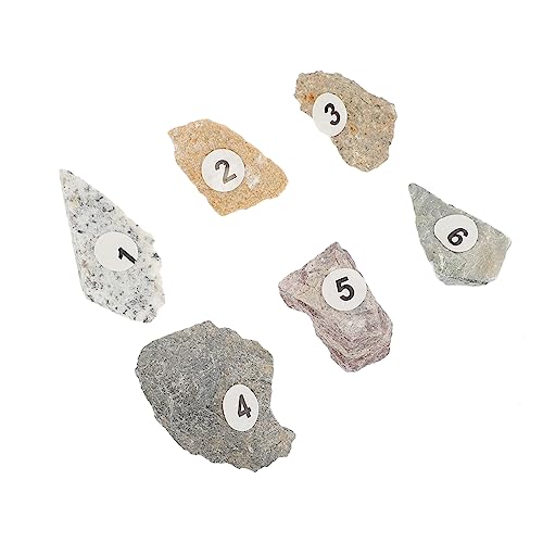 Gatuida Natural Specimen Stones 1 Set Educational Stones Sample for Boys and Girls Learning
