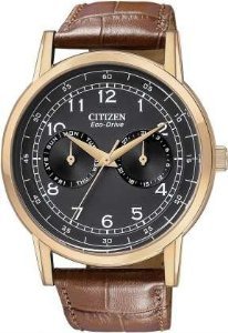Citizen Gents Stainless Steel Case with Brown Leather Strap AO9003-08EysAz