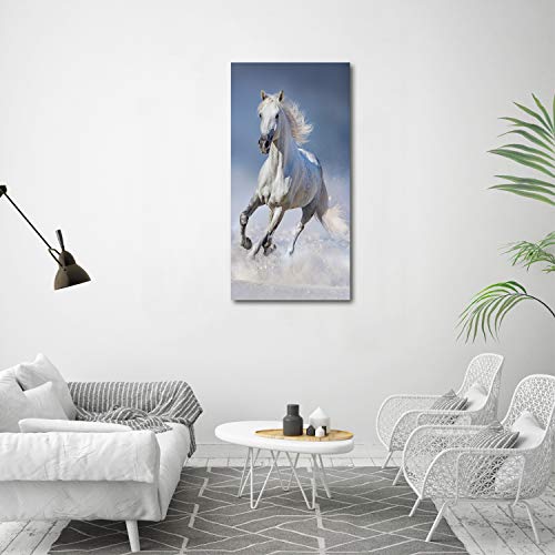 Déco mural derrière le plastique acrylique cheval blanc 60x120 - 4