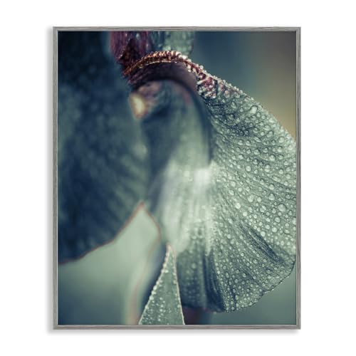 Close Up Iris Petal Botanical Study, 11 x 14 Inch Framed Giclée Print