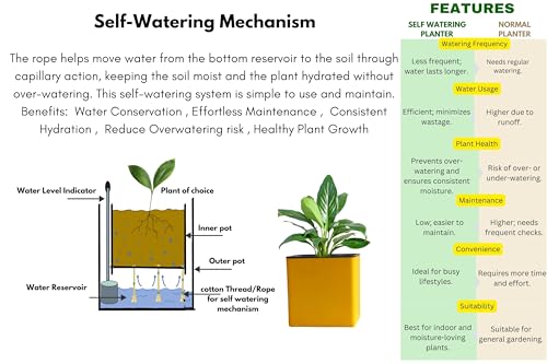Image of Indian Discovery Self Watering Tabletop Planter| Flower Pots for Home, Terrace, Balcony, Vertical Garden Decor Flower Pots(2 PC, Yellow, Square) |6 Inch UV-Resistant Plastic Plant Pots