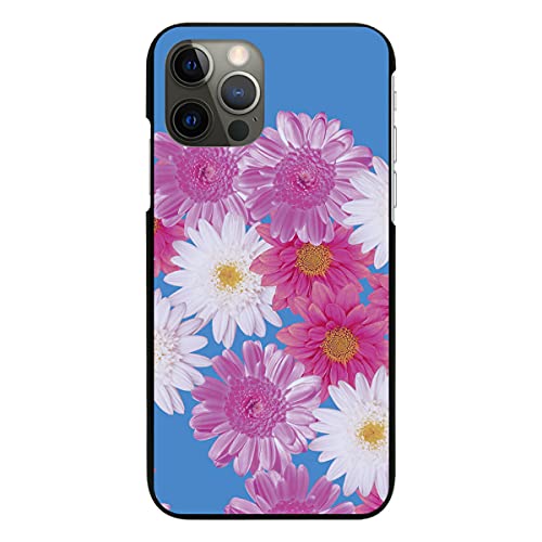 AQUOS wish4 A402SH p P[X NA Jo[ X}zP[X X}zJo[ ^ sc808(E) ԕ t[ ԑ K[[  Ԗ͗l  gуP[X gуJo[ n[h v