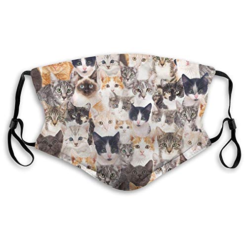 The Paragon Cat Dust Face Mask Adjustable Mouth Mask Balaclava Bandanas with Filter Paper for Kids Teens Men Women Sâ€¦