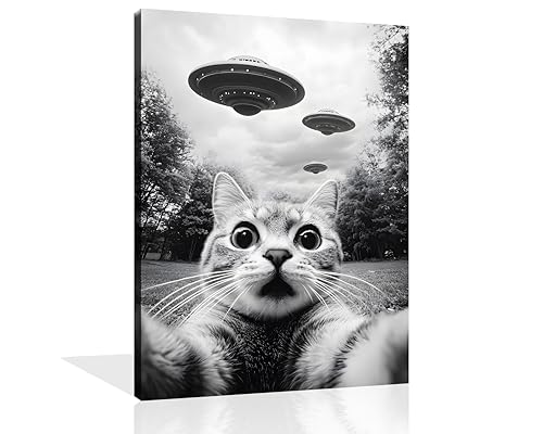 Image of OWNANRTHM Funny Cat Canvas Wall Art Cat UFO Wall Art Space Cats Painting Vintage Cats Alien Poster Funny UFO Pictures Black and White Cat Selfie UFO Print for Living Room Bathroom Framed 12X16 inch
