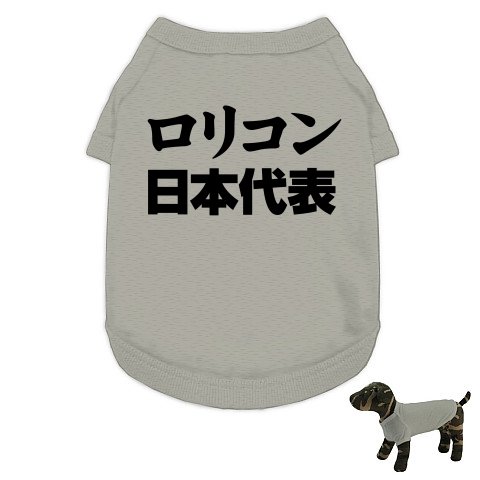 実況 捕まえたポケモンの重さ分 1 1 で移動しないといけない縛り Part11 ニコニコ動画