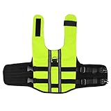 Balacoo Dog Life Jackets Reflective Vest for Puppy Dog Cat Swimming Boating Canoeing (Green Size M)