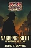 Narbengesicht – Die Waisenkinder aus St. Louis: Historischer Thriller
