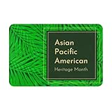 Super Absorbierende Badteppich Monat des asiatisch-amerikanischen und pazifischen Inselerbes, Badematte, Hintertür, Küche, Garten, Rutschfester Teppich 40X60cm