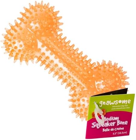 Gnawsome Dog Toys - 6.5” Spiky Squeaker Bone - Medium - Dental & ...