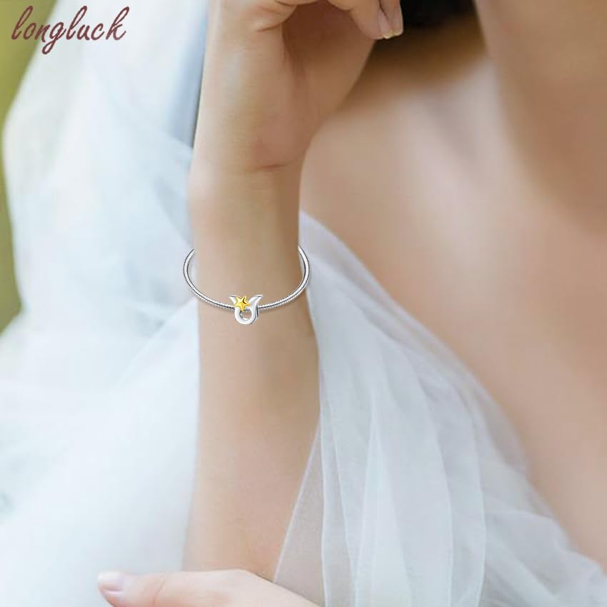 925 Sterling Silver 12 Astrological Signs Charm for Bracelets and Necklace Happy Birthday Charms for Bracelet and Necklace Valentine's Day Mother's Day Gift - Image 3