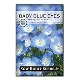 Sow Right Seeds - Baby Blue Eyes Flower Seeds for Planting - Annual Plant with Sweet Essence - Non-GMO Heirloom Packet with Instructions to Plant a Home Garden - Native California Wildflower (1)