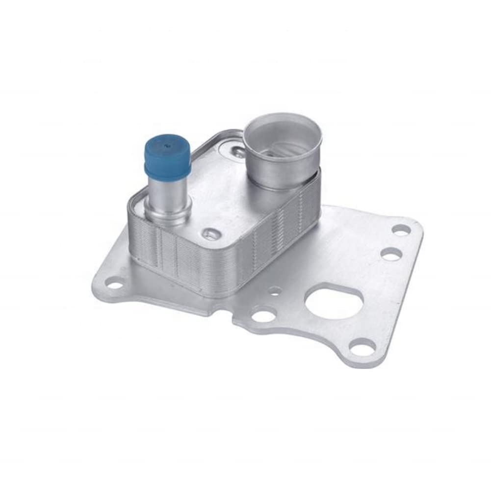 Amazon.com: AUTO-PALPAL ENGINE OIL COOLER 2711801010 A2711801010 