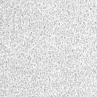 プラスチック障子紙 ワーロンシート しょうじがみ 【両面テープで簡単に貼れる】 ペット 強化障子紙 水拭きができる 巾93p×高さ185p No.1 春雨 柄 1枚 /防炎製品認定