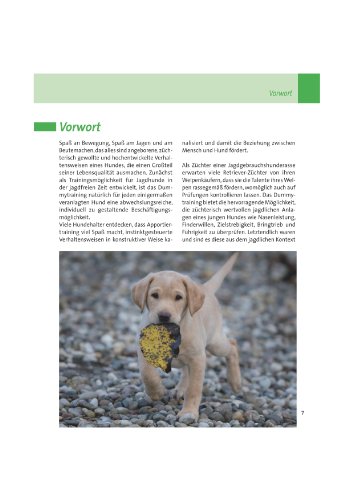Dummy-Training (Die Hundeschule)