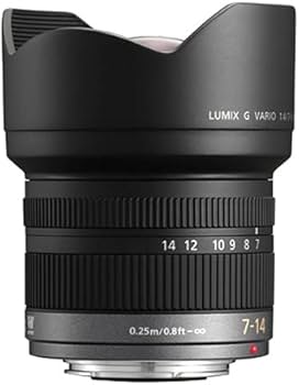 Amazon.com : PANASONIC LUMIX G VARIO LENS, 7-14MM, F4.0 ASPH