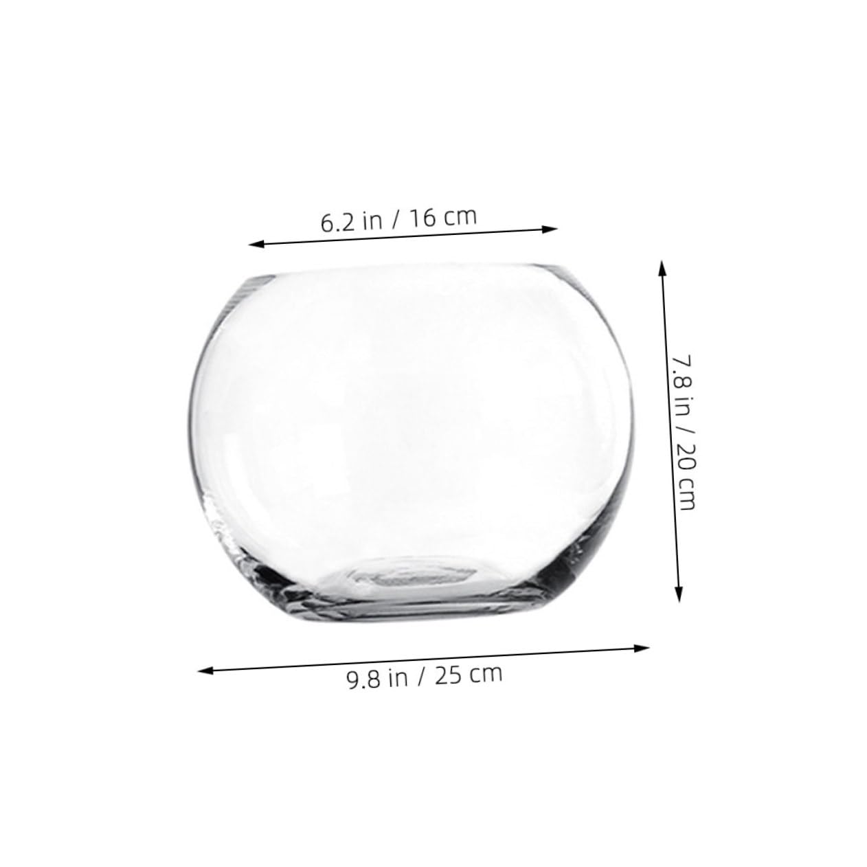 Vase en Verre Transparent Arrondi pour Plantes Hydroponiques Surface Lisse et Résistante la Rouille, Décoration de Bureau Créative pour Maison ou Hôtel