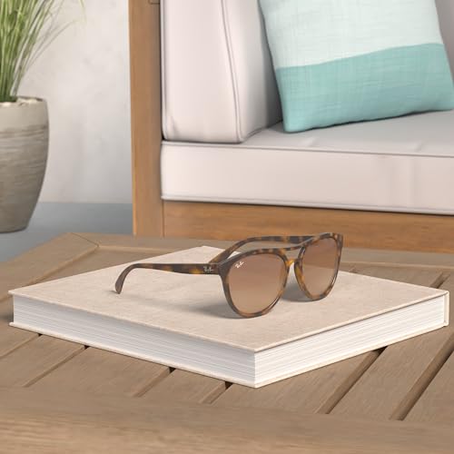 Ray-Ban Men's RB4170 Brad Round Sunglasses2