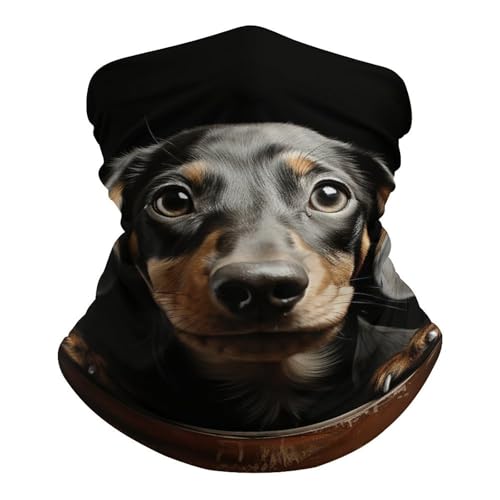 Balaclava Neck Gaiter Pad Dachshund para hombres y mujeres protección solar máscara facial enfriante transpirable bufanda pañuelo banda para la cabeza para esquí y senderismo miniatura 2