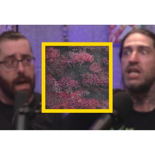 THE EVEN IN ARCADIA PODCAST - PART 2