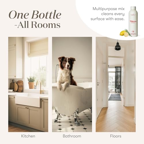 Image of Thieves Household Cleaner | 14.4 oz | Plant-Based Multi-Surface Solution Infused with Essential Oils | Dilute for Floors, Carpets, Glass, Counters, Appliances, and General Home Cleaning