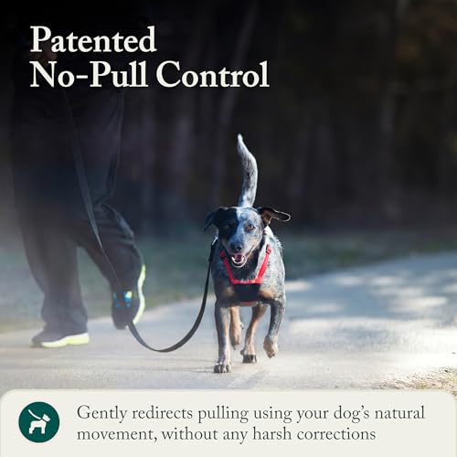 Sporn No Pull Dog Harness, Durable Nylon Mesh Harness for Medium Dogs, No Choke Design, Padded Restraint Sleeves, Adjustable Fit, Easy On/Off, Ideal for Medium Breeds, Red - Image 7