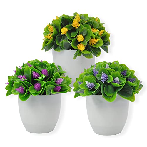 2 Piante Artificiali Decorative 36 Cm Con Vasi Neri - Fiori Di Seta Realistici Per Casa, Ufficio E Scrivia - 2