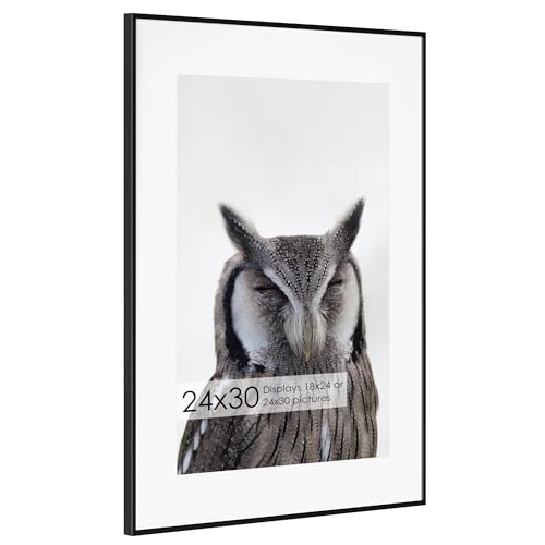 24x30 Metal Picture Frame with 18x24 Mat, Brushed Aluminum Finish, Tempered Glass Front, and Attached Hanging Hardware - Versatile Wall Display Frames for Vertical or Horizontal Orientation(Black,