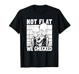Flat Earth Meme Ufo