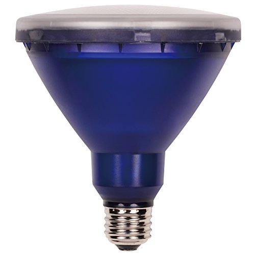 Westinghouse Lighting 0315100 15W PAR38 LED Outdoor Bulb, Flood Blue E26 (Medium) Base, 120V, Box