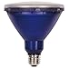 Westinghouse Lighting 0315100 15W PAR38 LED Outdoor Bulb, Flood Blue E26 (Medium) Base, 120V, Box