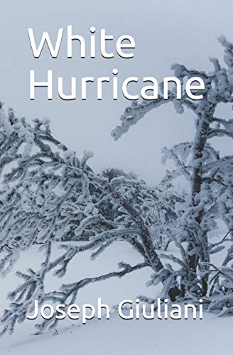 White Hurricane B08DG1KHGC Book Cover