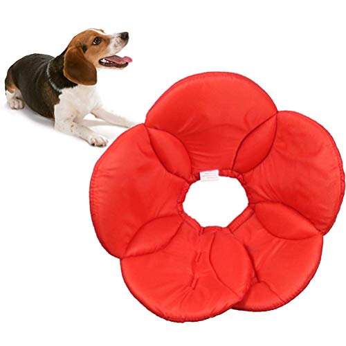 POPETPOP Collare Protettivo per Cani e Gatti in